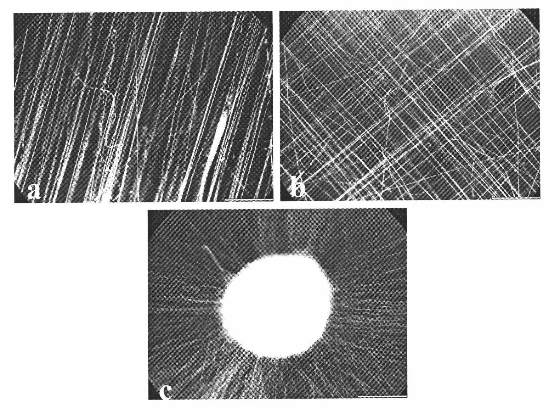 Preparation of porosity electrospun fiber