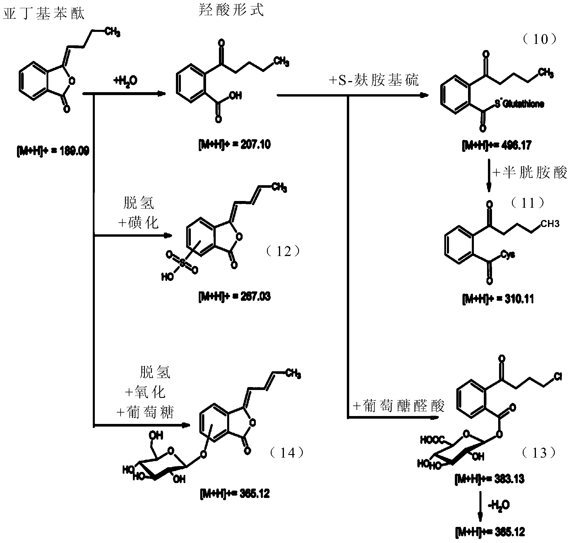 Application of phthalide compound