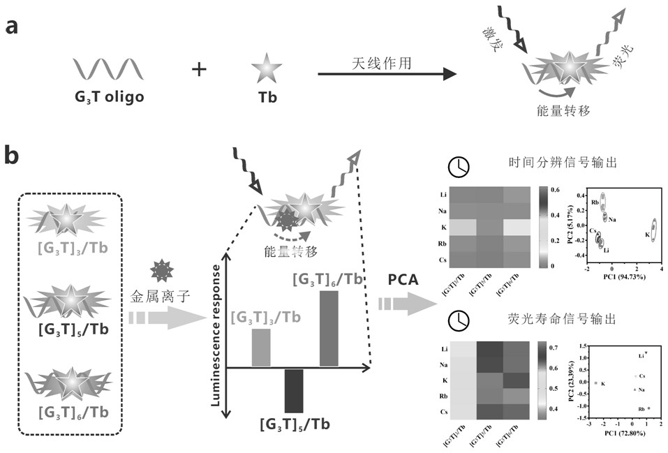 Application of a fluorescent sensor in distinguishing and detecting metal ions