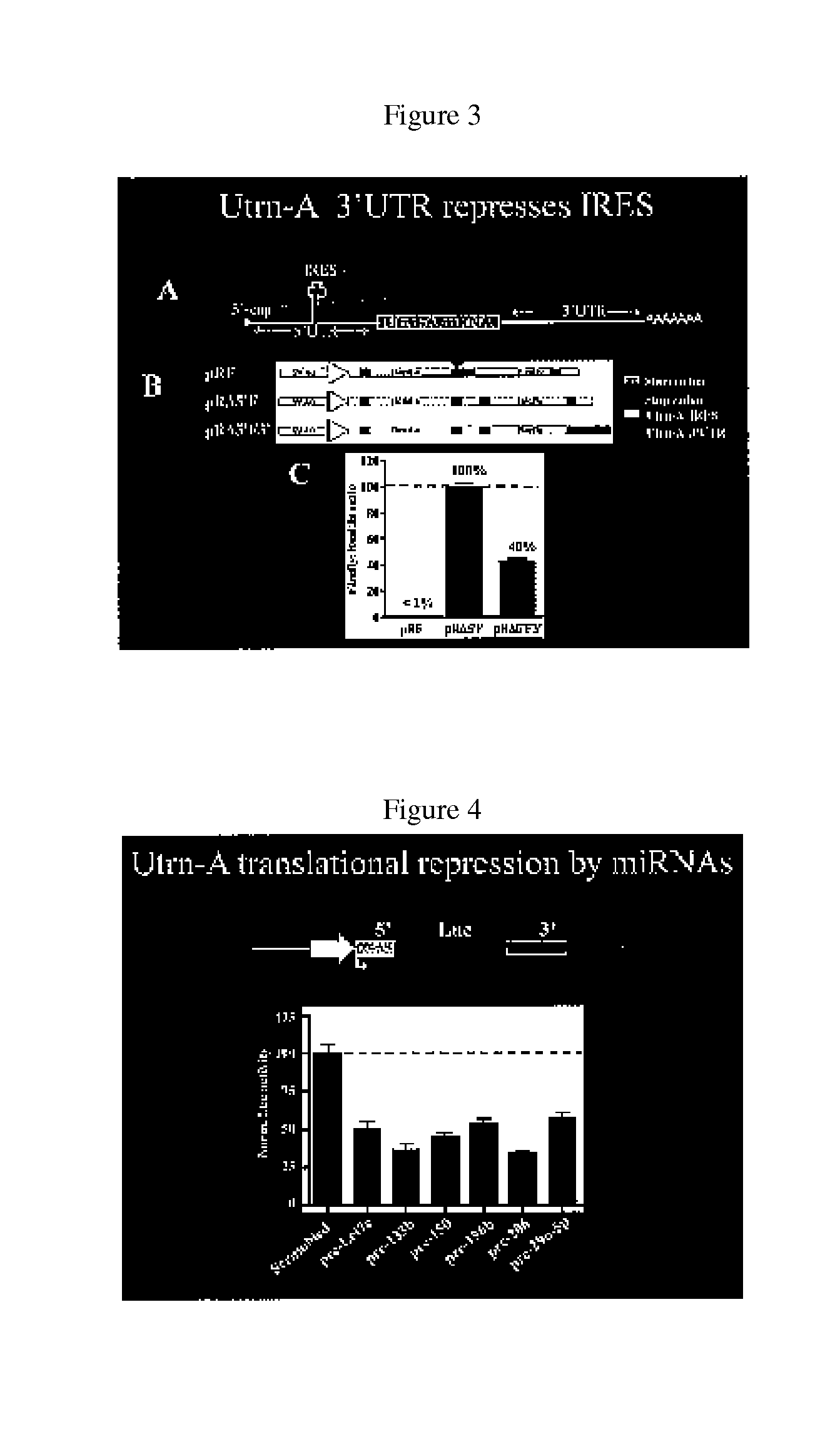 Methods for enhancing utrophin production via inhibition of microrna