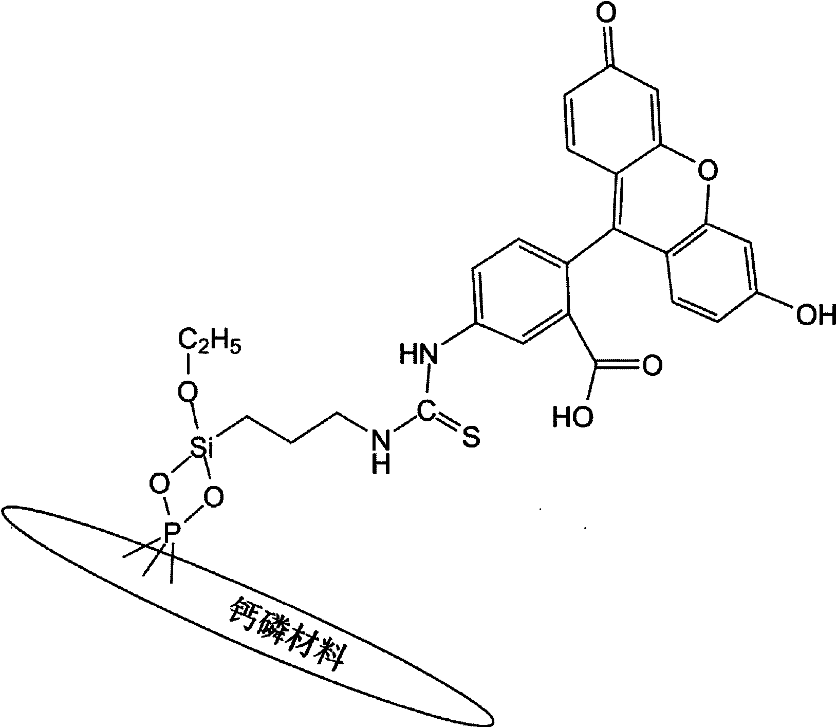 Calcium phosphate material marked by fluorescein isothiocyanate and preparation method thereof