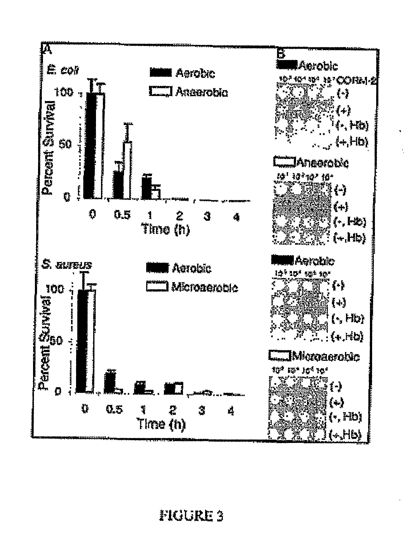 Treatment of infections by carbon monoxide