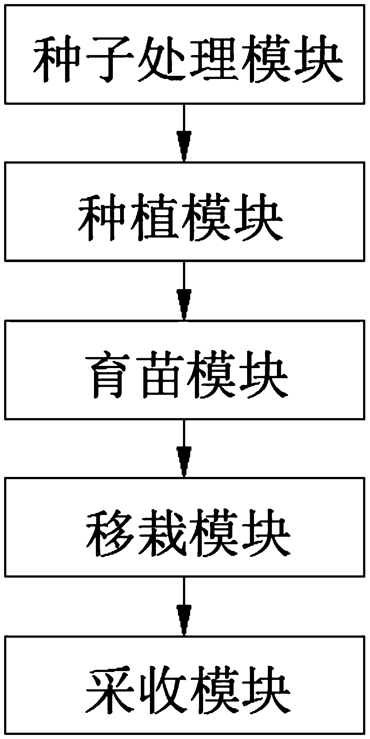 System and method for planting selenium-enriched broccoli