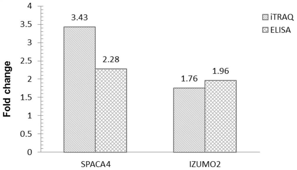 A sperm protein marker spaca4 closely related to the reproductive performance of breeding boars and its application