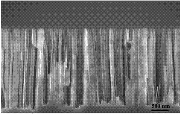 Preparation method of ultrathin molybdenum disulfide nanosheet/silicon nanowire heterojunction structure