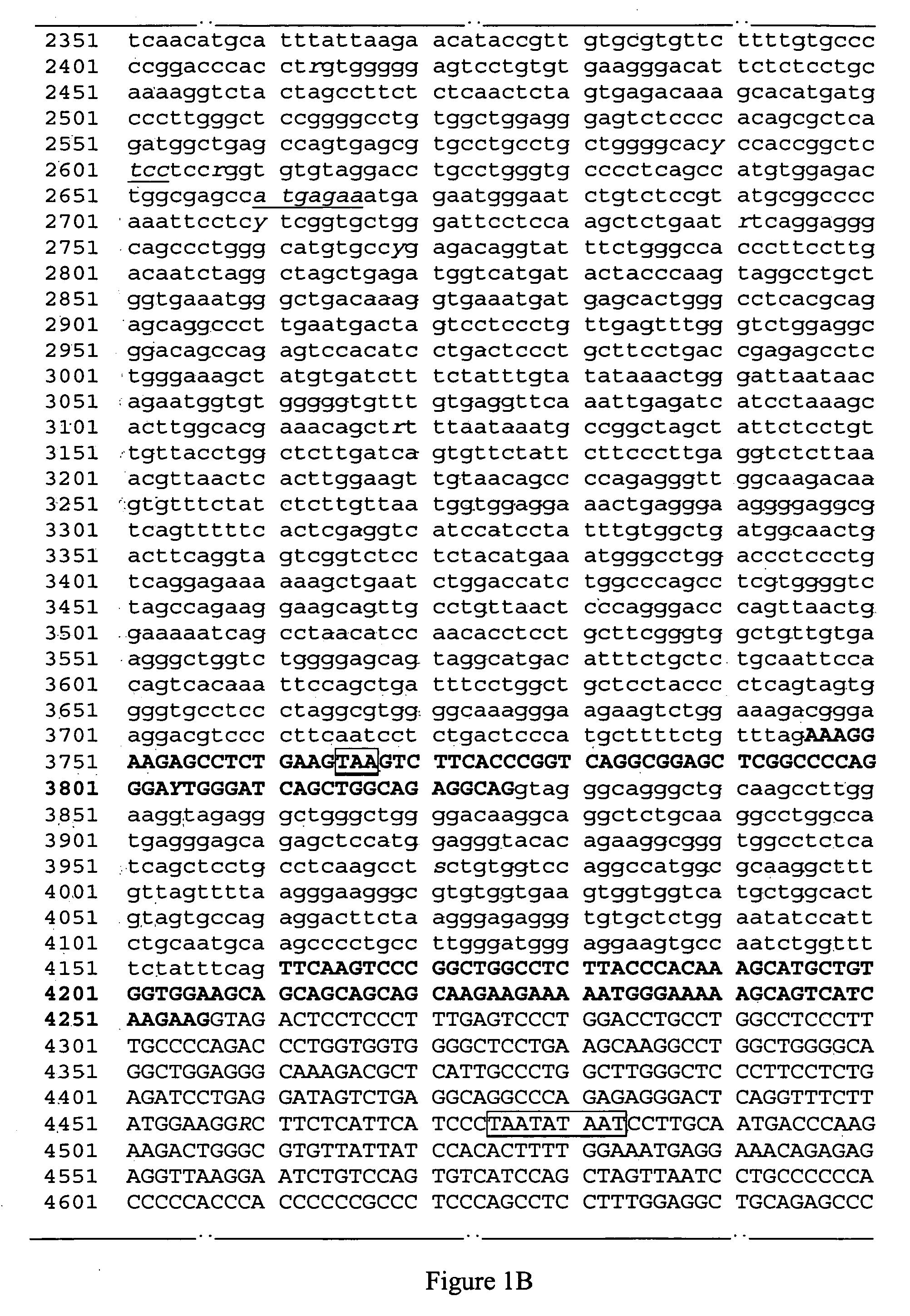 Identification of the gene and mutation for progressive rod-cone degeneration in dog and a method for testing same