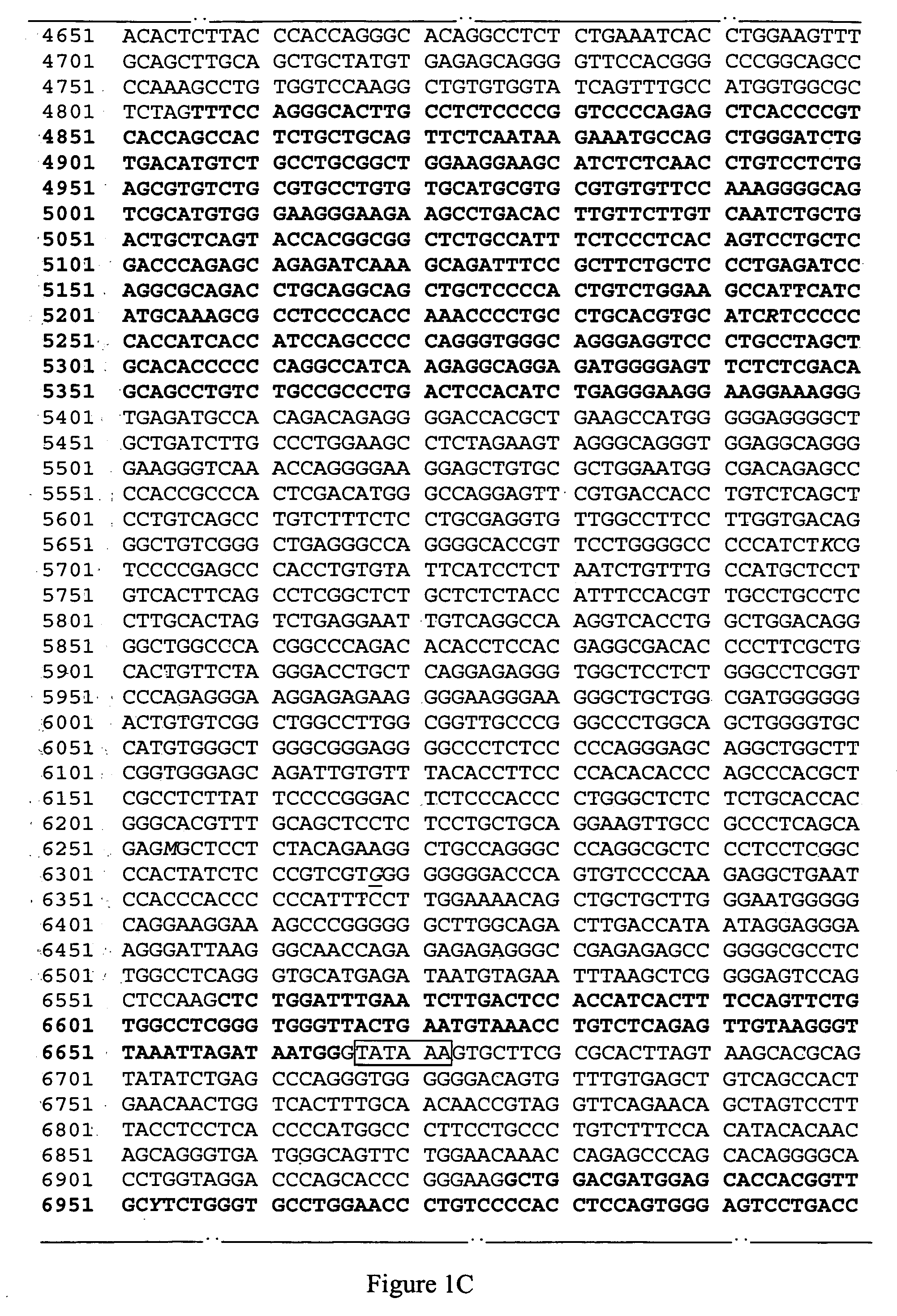 Identification of the gene and mutation for progressive rod-cone degeneration in dog and a method for testing same