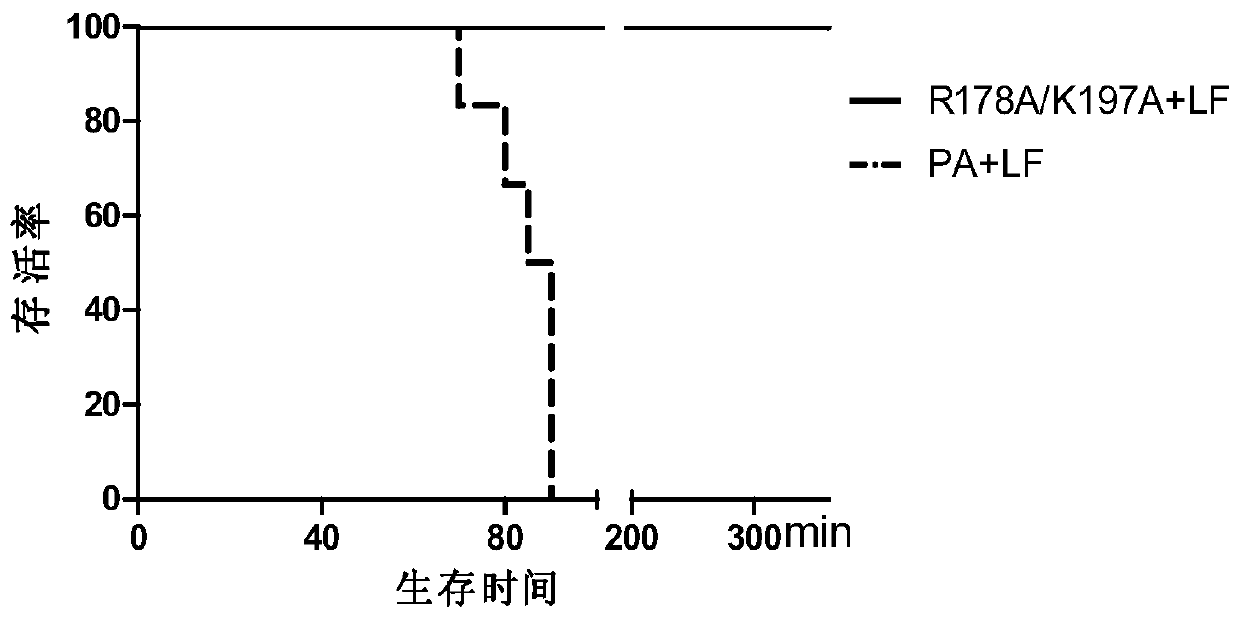 A kind of avirulent live anthrax vaccine and avirulent anthrax strain