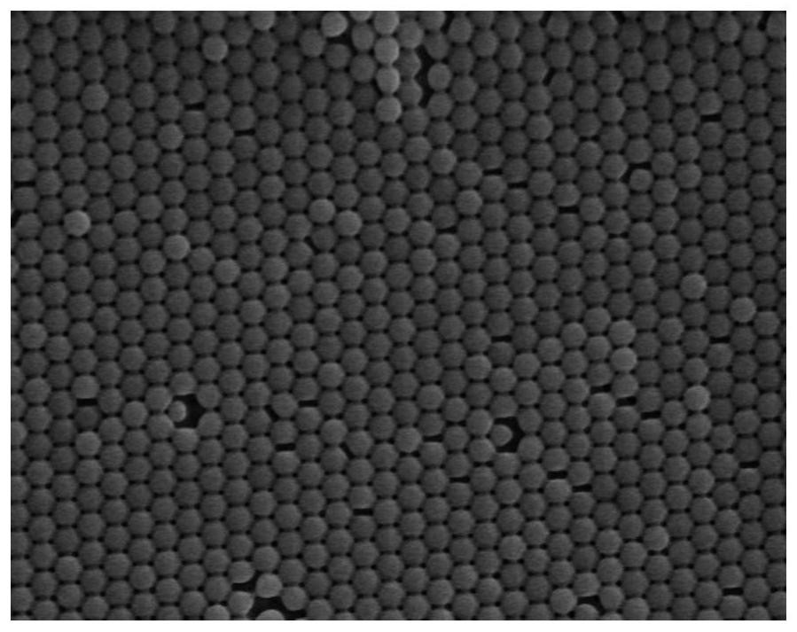 A kind of preparation method of monodisperse hydrophobic polytrifluoroethyl methacrylate colloidal emulsion