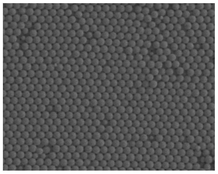 A kind of preparation method of monodisperse hydrophobic polytrifluoroethyl methacrylate colloidal emulsion