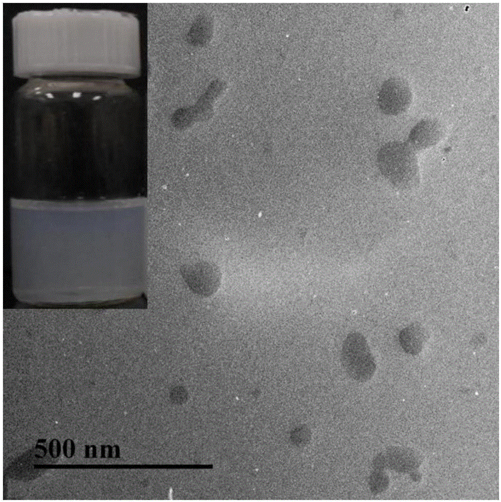 Nano-antibacterial coating preparation method based on quaternized chitosan half-bred micelles