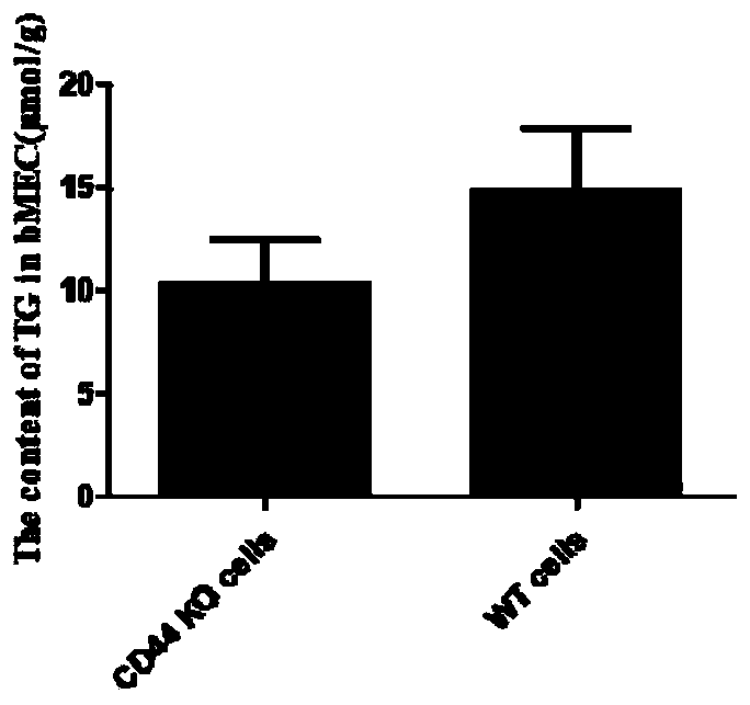 CD44 gene-knocked-out dairy cow mammary epithelial cell line and construction method thereof