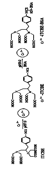 Indirect competitive enzyme linked immunosorbent assay kit for detecting chromium ions as well as preparation and detection methods thereof