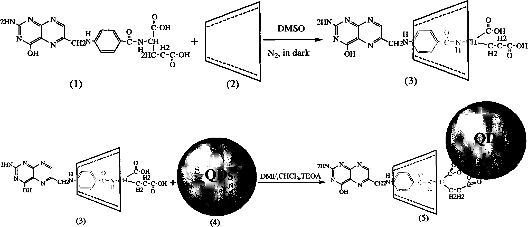 Tumor-targeting functionalized quantum dot and preparation method thereof