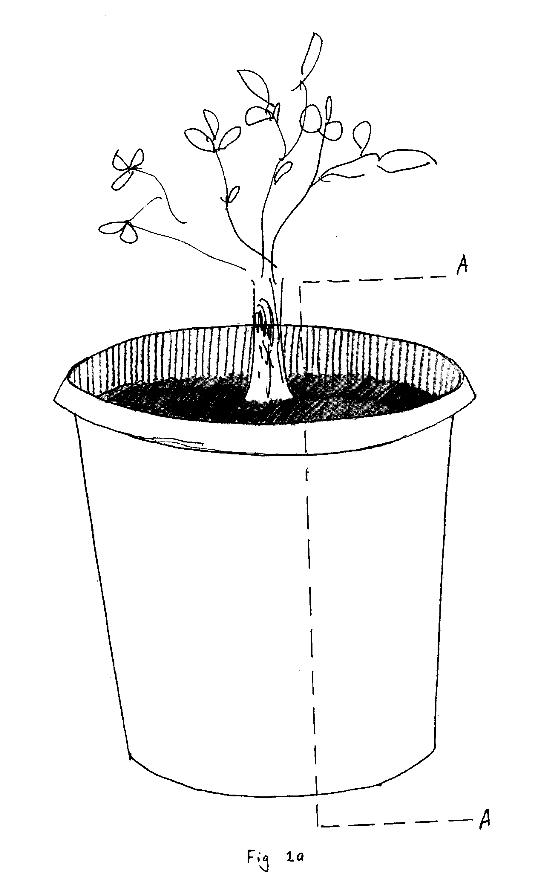 Apparatus to cultivate plants