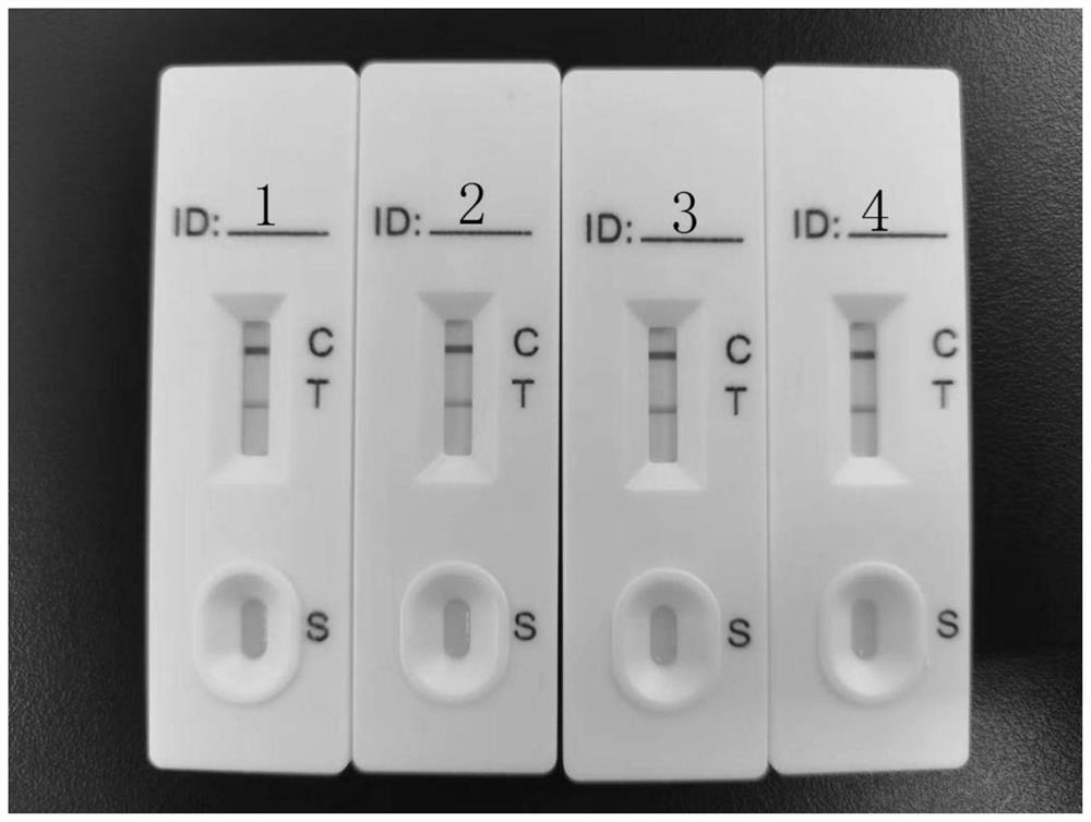 Sample diluent for colloidal gold method new coronavirus antigen detection card