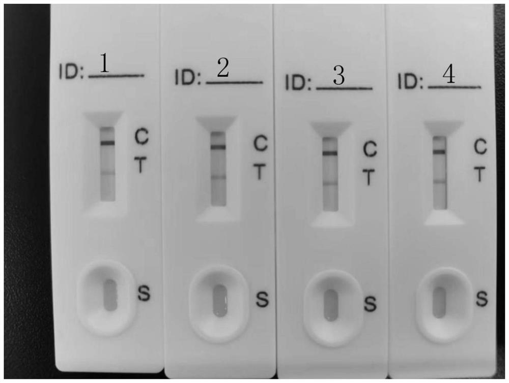 Sample diluent for colloidal gold method new coronavirus antigen detection card