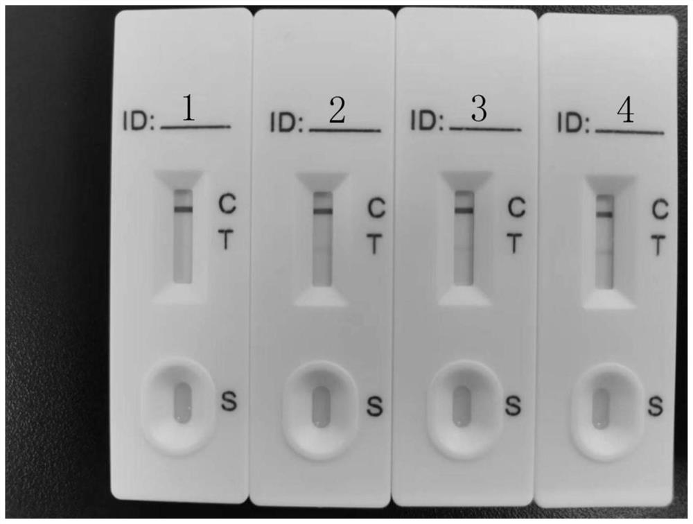 Sample diluent for colloidal gold method new coronavirus antigen detection card