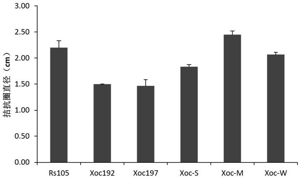 Bacillus altitudinis YG045 and application thereof