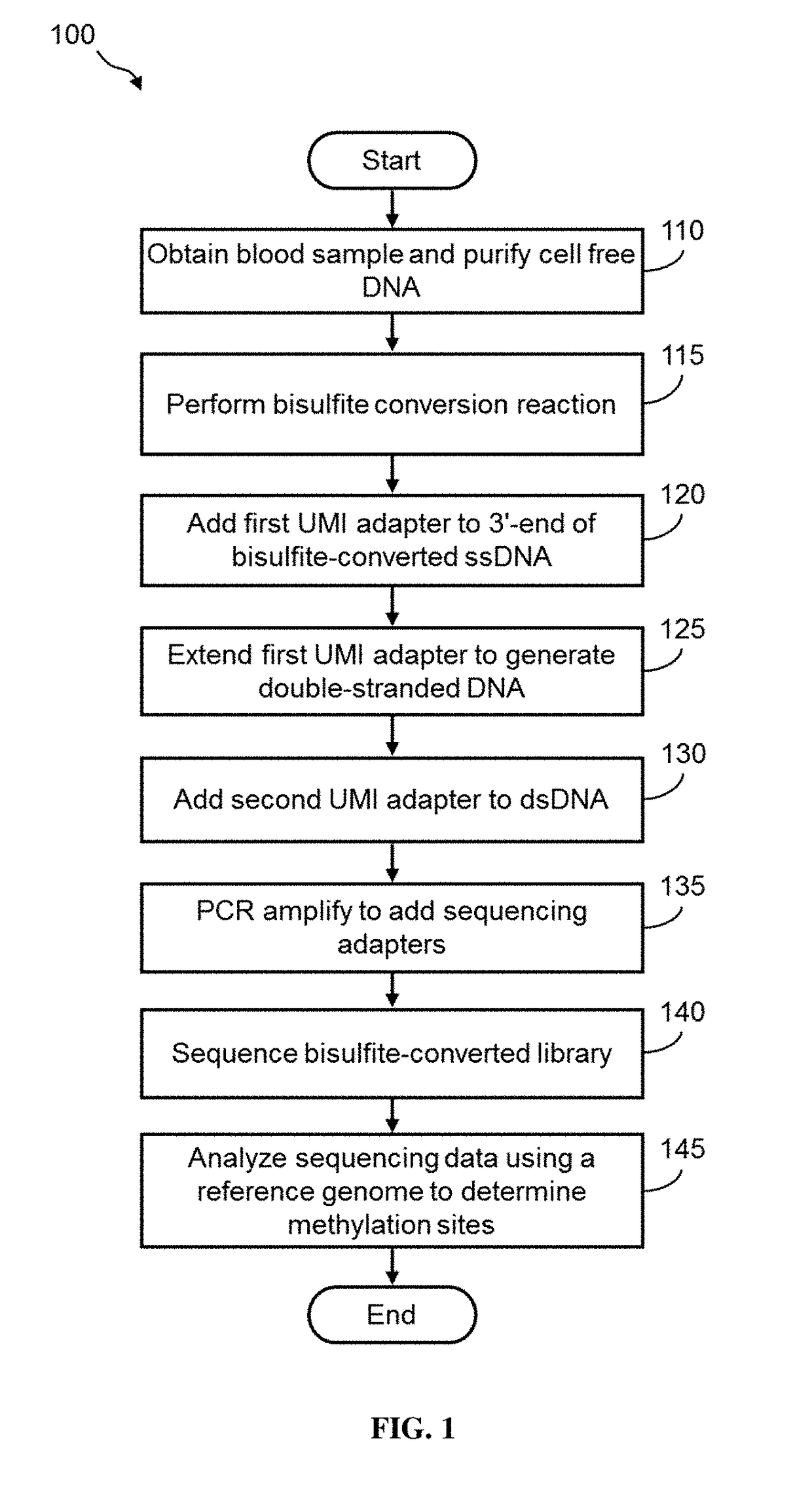 Methods of Preparing Dual-Indexed DNA Libraries for Bisulfite Conversion Sequencing