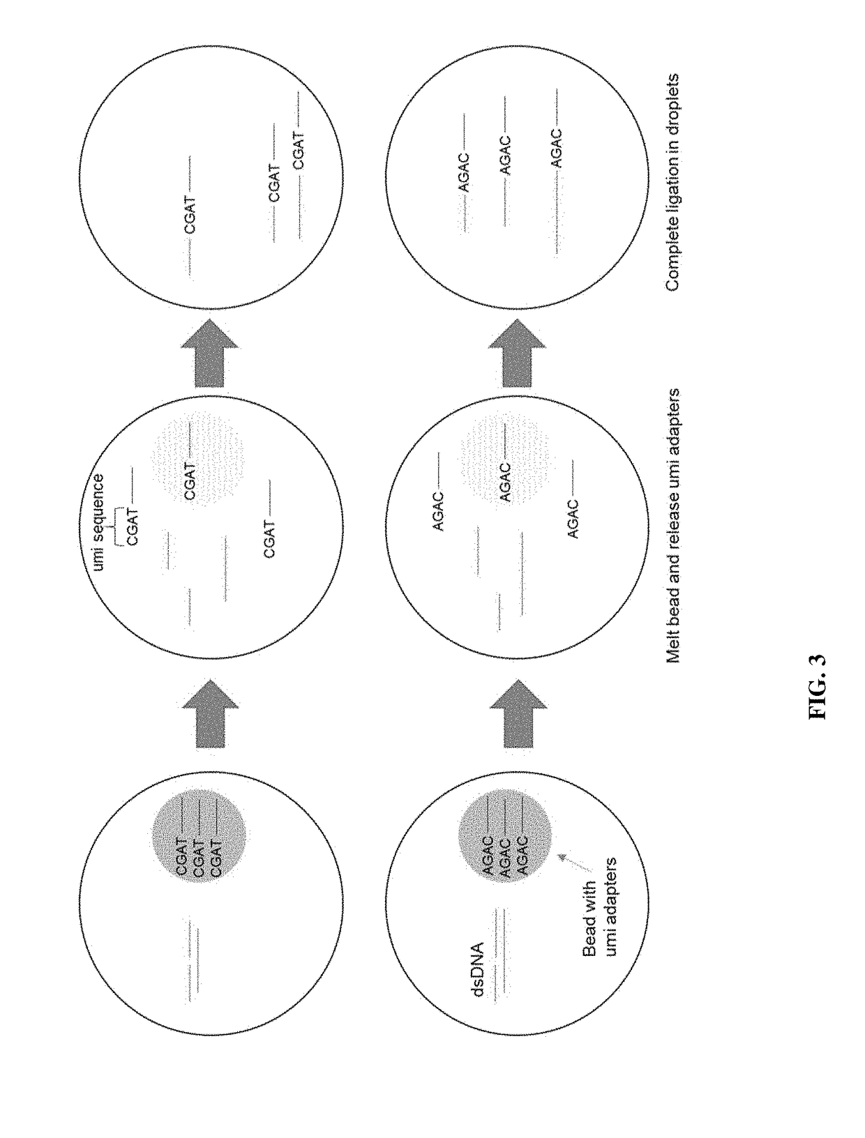 Methods of Preparing Dual-Indexed DNA Libraries for Bisulfite Conversion Sequencing