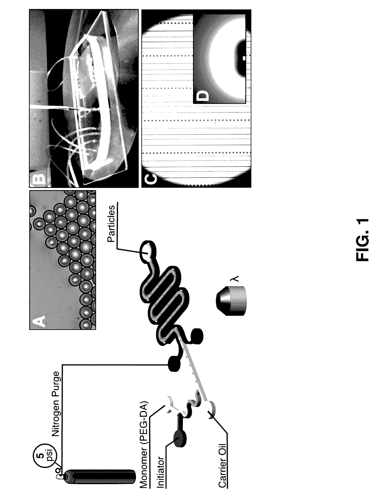 Methods of Generating Microparticles and Porous Hydrogels Using Microfluidics