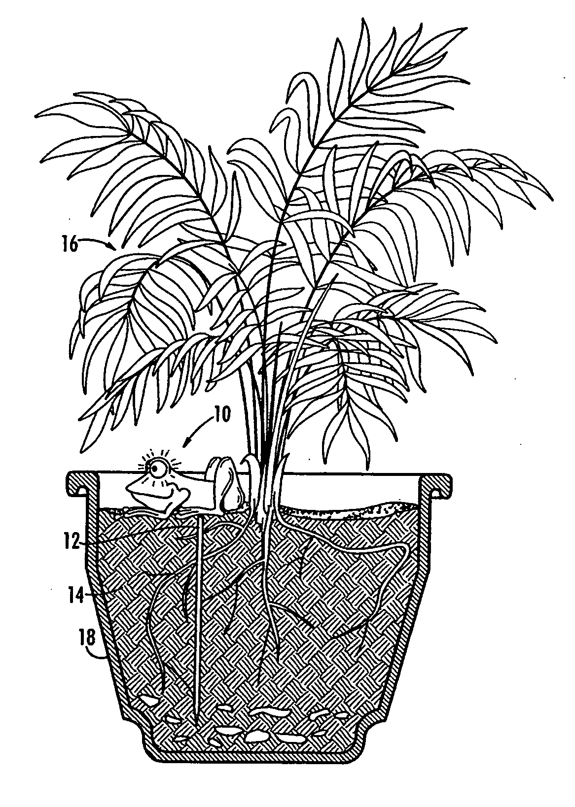 Novelty moisture detector for plants