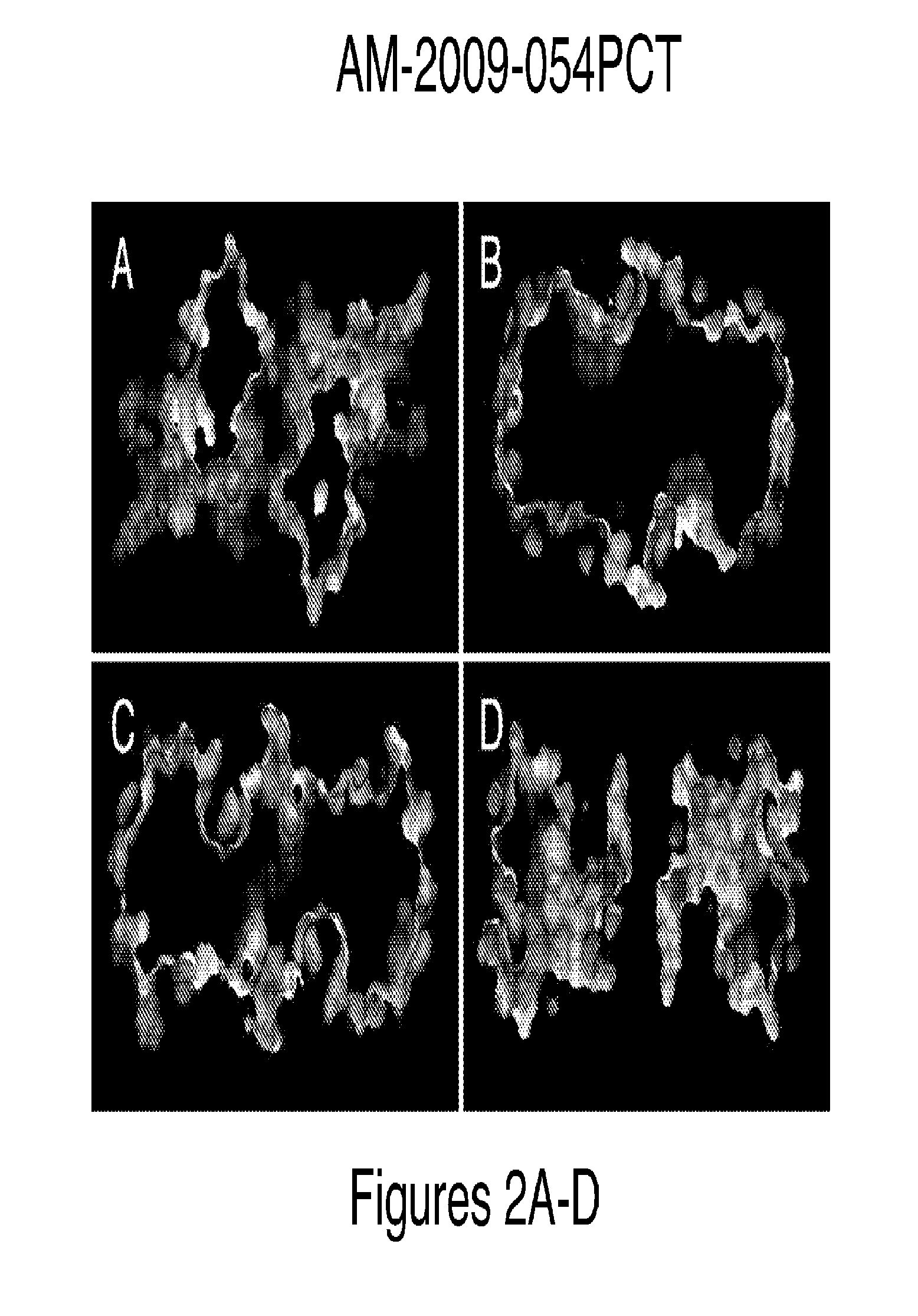 Method for binding site identification by molecular dynamics simulation (silcs: site identification by ligand competitive saturation)