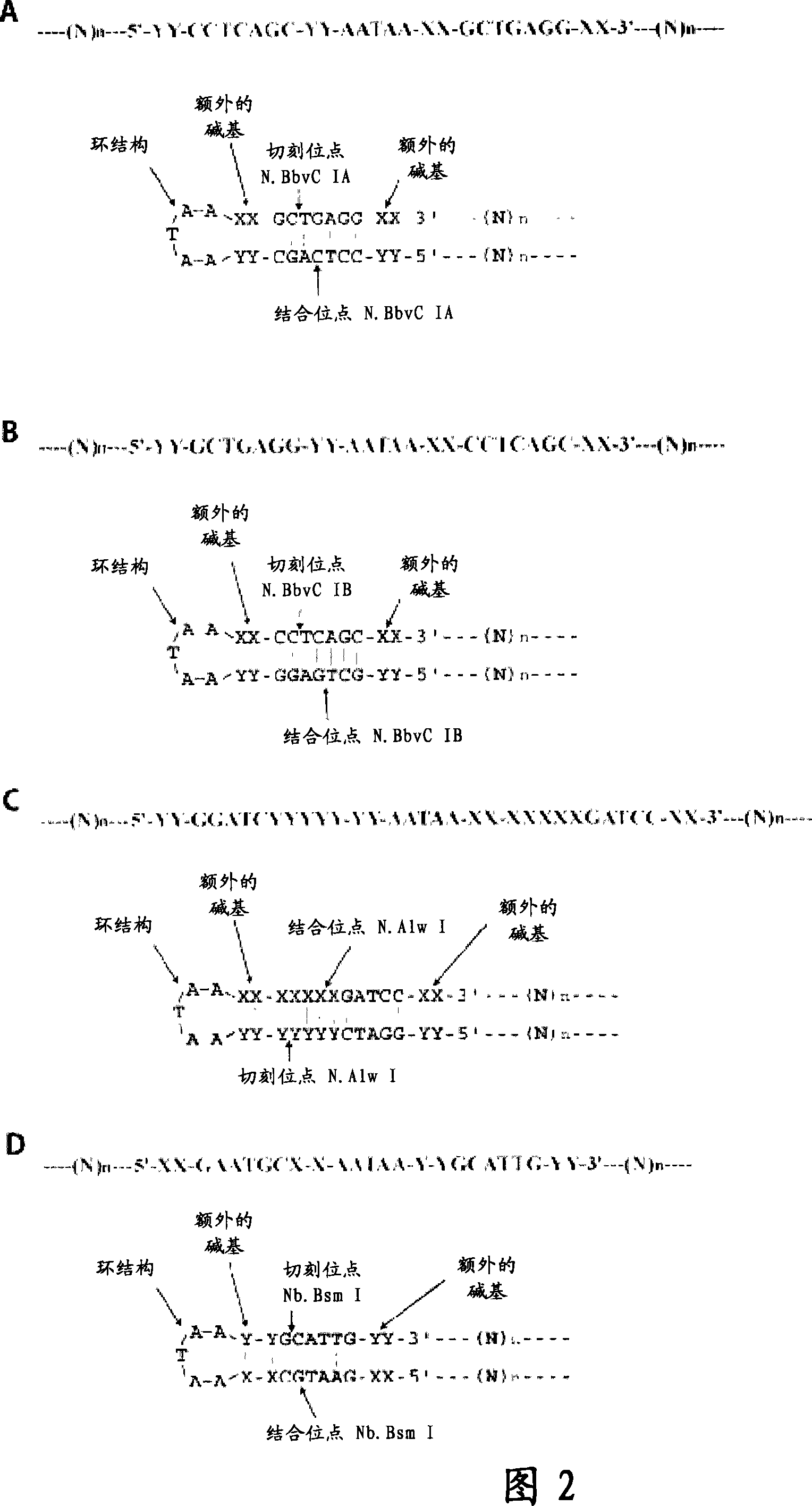 Methods for production of oligonucleotides