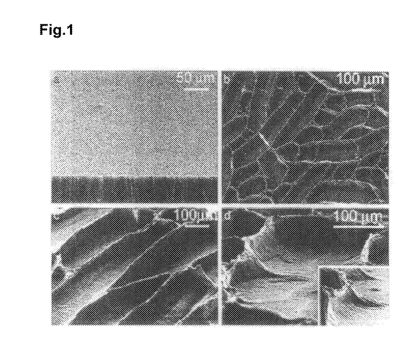 Carbon nanotube film structure and method for manufacturing the same