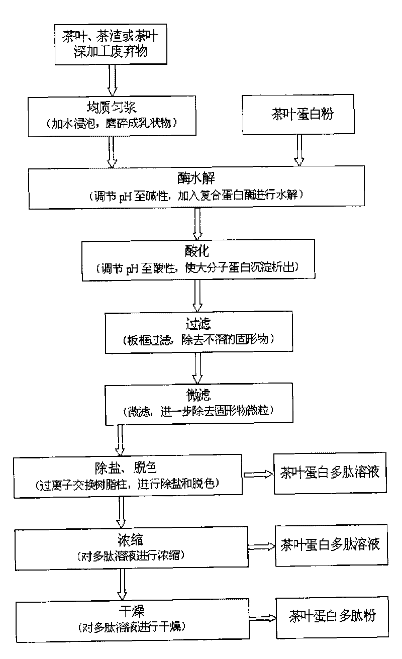 Tea leaf protein polypeptide and preparation method and application thereof