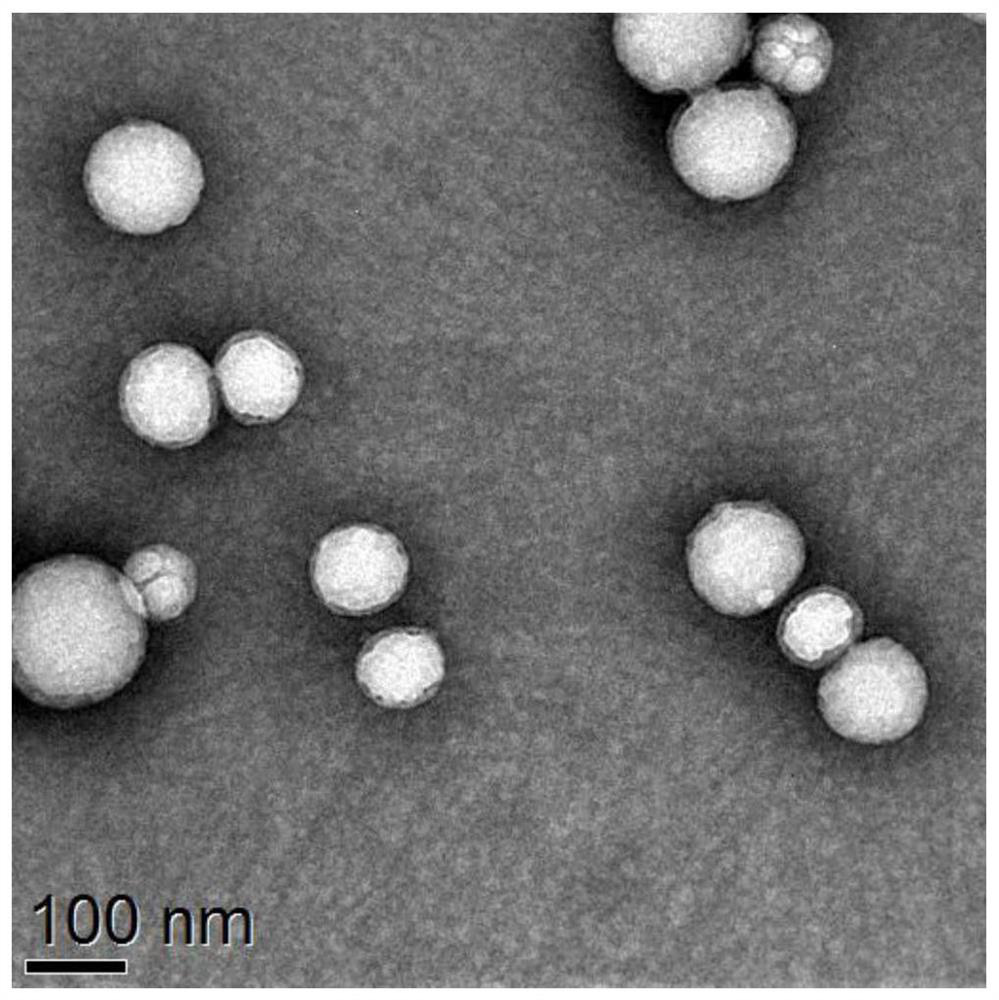 A kind of zl006 cyclohexyl ester polymer nano drug delivery system and preparation method thereof