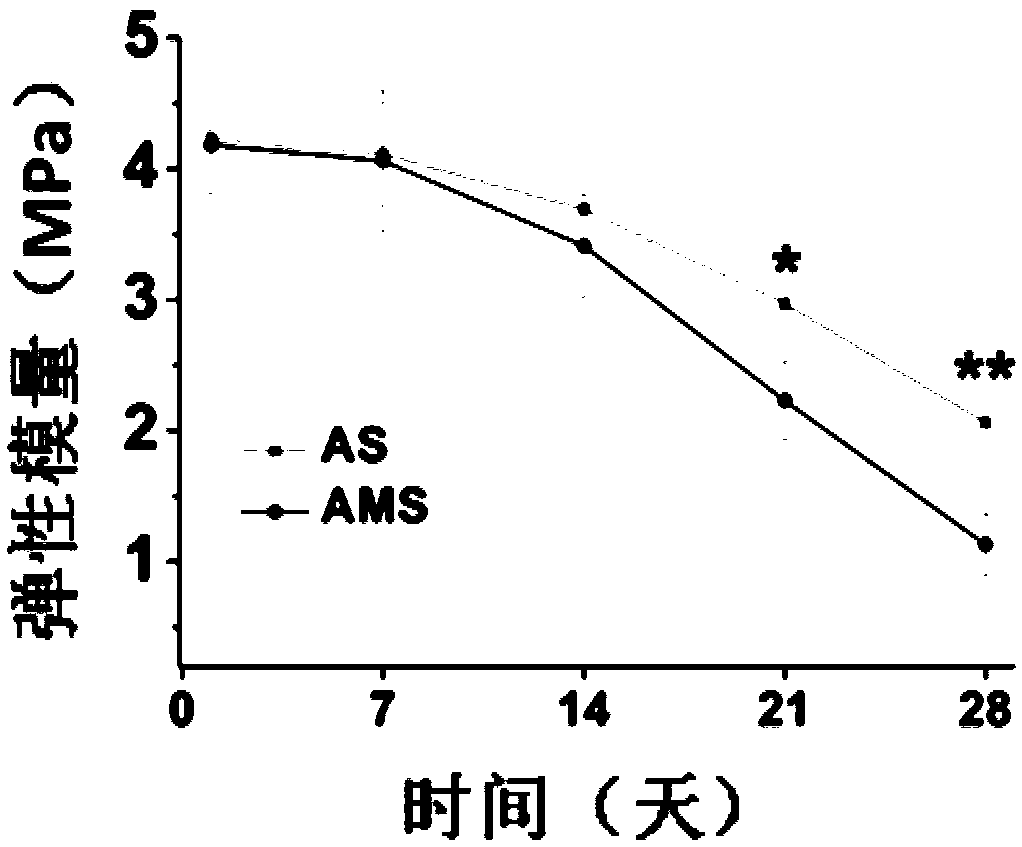 Application of porous micro stent to regeneration and repair of tissues