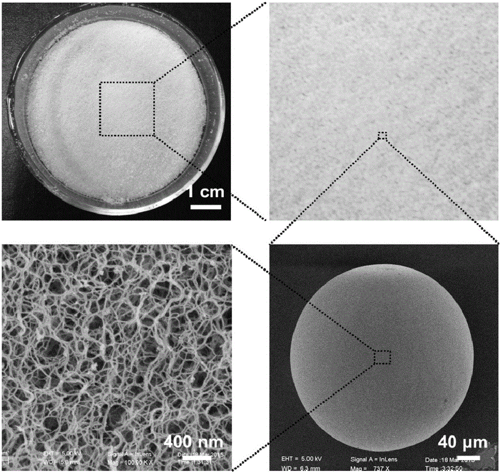 Polymeric microspheres and preparation method therefor