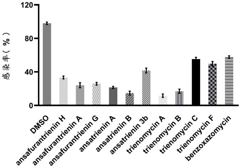 Application of ansatriene compound in antiviral infection medicine and preparation method of ansatriene compound