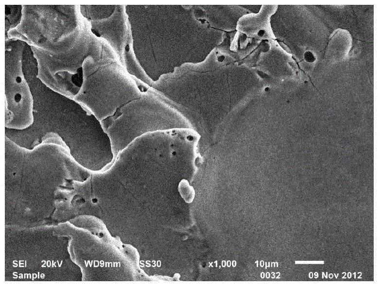 Preparation method of medical implant material surface function atom doped molecular sieve layer