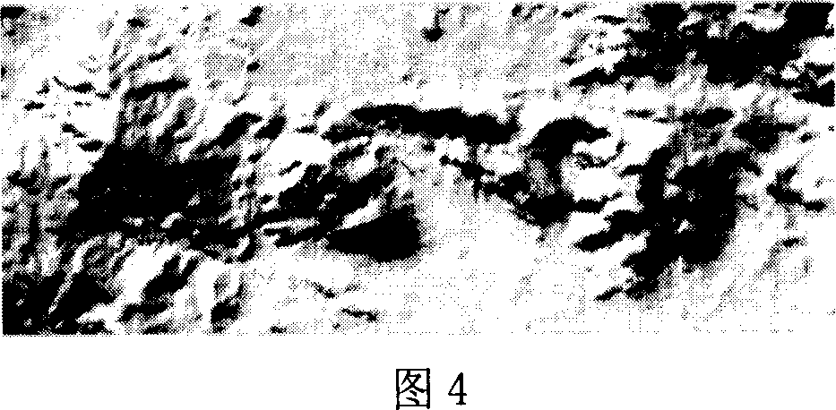 Method for regulating shaded-relief style effect in computer shaded-relief drawing