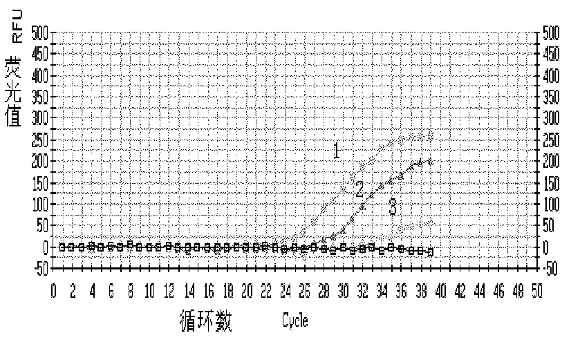 Reagent for detecting Yersinia pestis and method for carrying out fluorescence quantitative PCR (Polymerase Chain Reaction) detection on Yersinia pestis