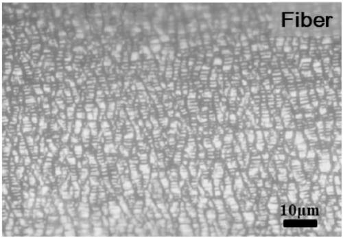A kind of preparation method of conductive fiber with stretchable and low resistance change
