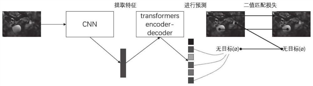 Fruit identification method and device under same-color background and fruit picking robot