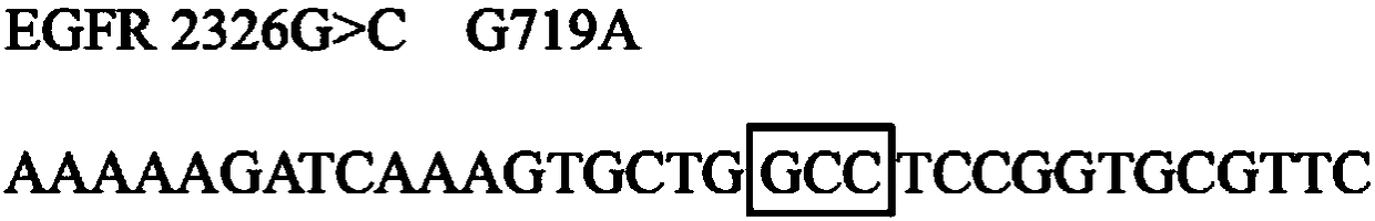 EGFR and HER2 gene mutation detection kit and detection method, and applications thereof