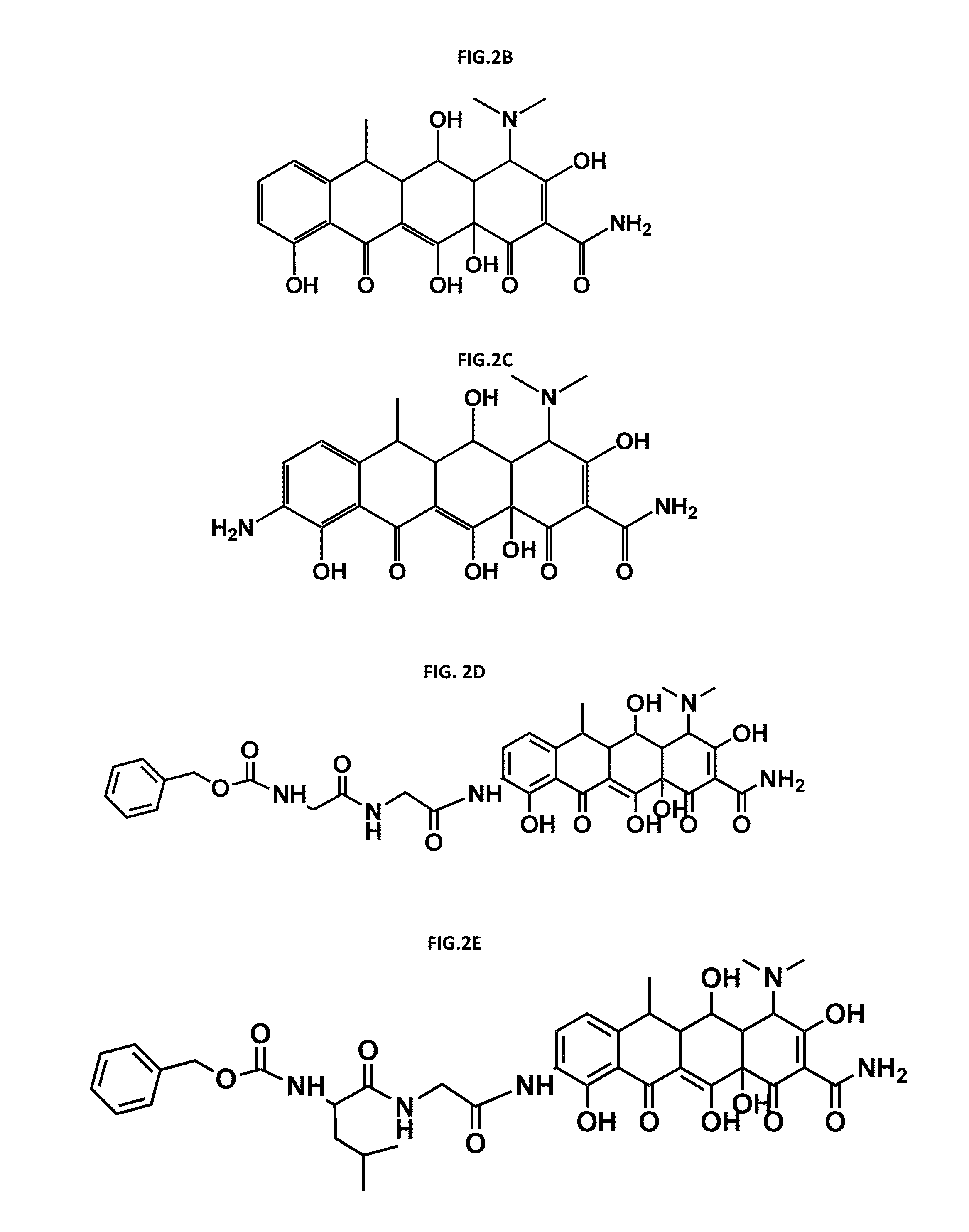Polymer drug conjugates for the treatment of amyloidosis