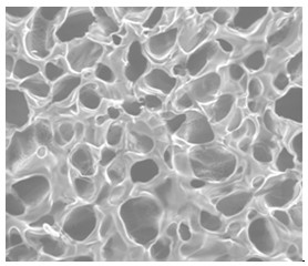 Method for preparing porous chitosan scaffold