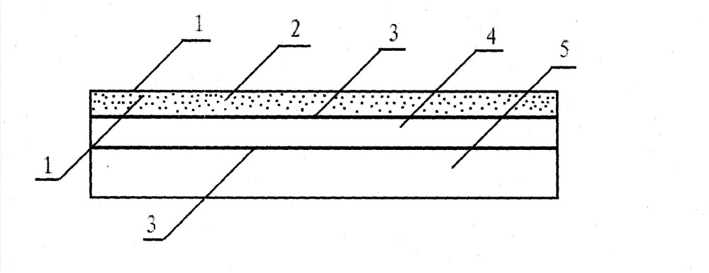 Insect-resistant polymer composite and preparation method thereof