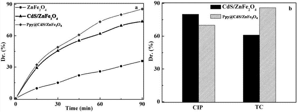 Magnetic composite photocatalyst Ppy@CdS/ZnFe2O4 and preparation method and application thereof