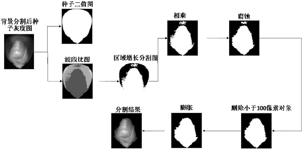 Band ratio method based maize embryo segmentation method in high-spectral reflection image