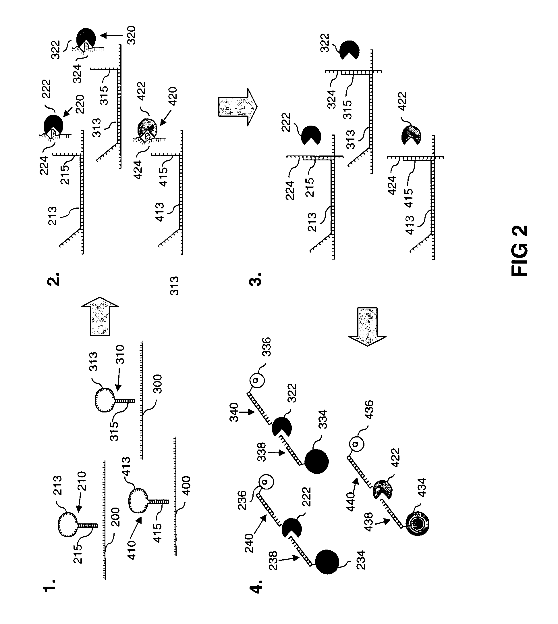 Methods for detecting a target nucleotide sequence in a sample utilising a nuclease-aptamer complex