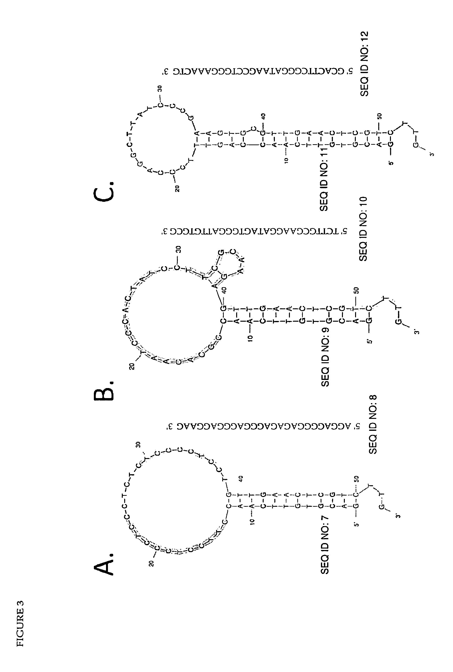 Methods for detecting a target nucleotide sequence in a sample utilising a nuclease-aptamer complex