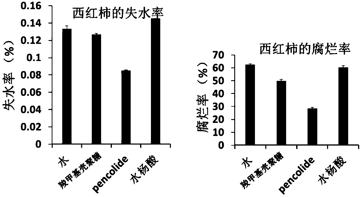 Application of compound pencolide in preparation of preservative