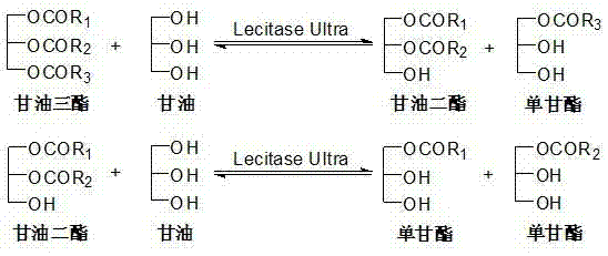 Preparation method of diglyceride-enriched functional oil
